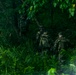 Brutal Company 4-9IN Conducts Blank-Fire React-to-Contact and Squad Attack Training