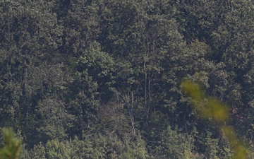 1st Armored Division Combat Aviation Brigade Conducts Aerial Fire Suppression Operations in Bulgaria