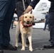 USS Gerald R. Ford (CVN 78) Arrives in Marseille, France