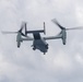 USS America (LHA 6) Conducts Flight Operations