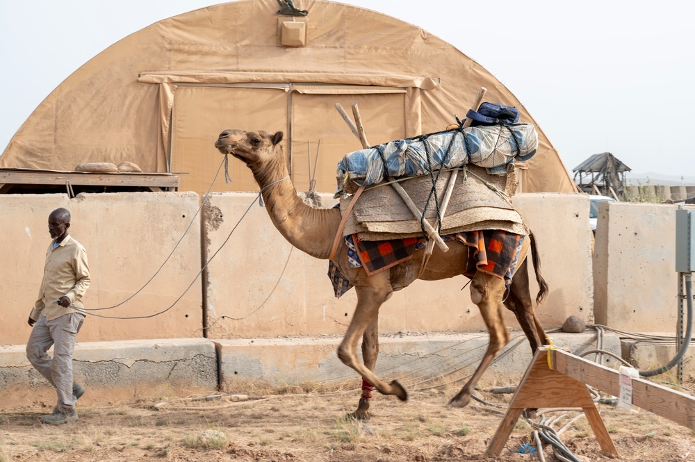 776th Expeditionary Air Base Squadron Hosts Independence Day Celebration at Chabelley Airfield