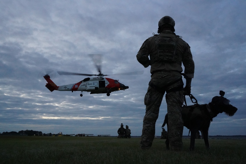 Coast Guard Maritime Security Response Team East K-9 Unit conducts training