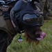 Coast Guard Maritime Security Response Team East K-9 Unit conducts training