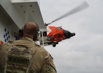 Coast Guard Maritime Security Response Team East K-9 Unit conducts training