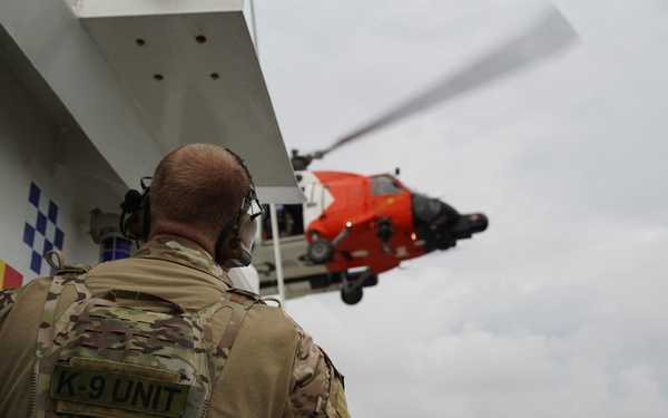 Coast Guard Maritime Security Response Team East K-9 Unit conducts training