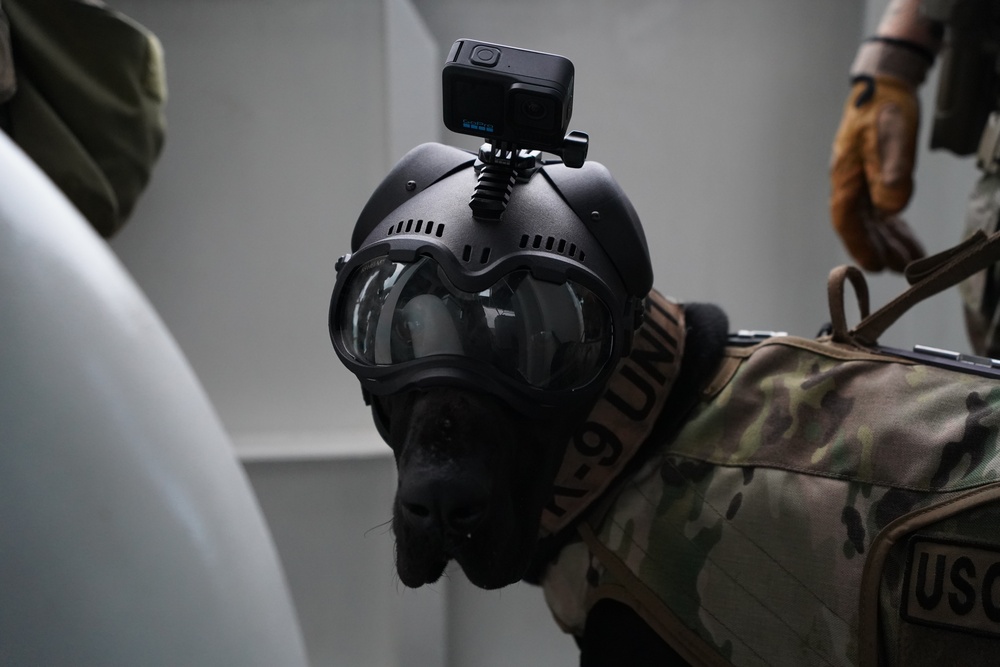 Coast Guard Maritime Security Response Team East K-9 Unit conducts training