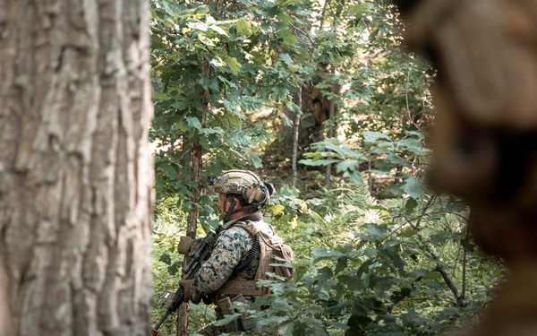 SPMAGTF-ACM | V 2/2 Conducts TRAP