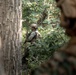 SPMAGTF-ACM | V 2/2 Conducts TRAP