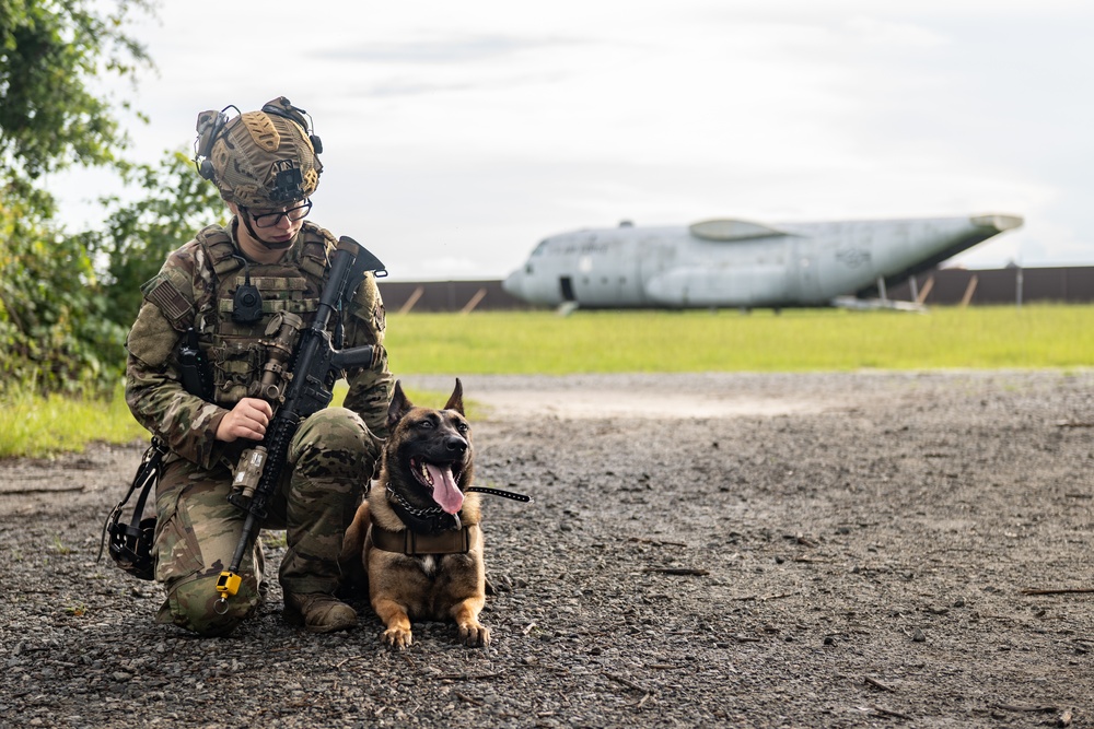 Airmen and military working dogs sharpen skills in high-intensity tactical drills