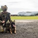 Airmen and military working dogs sharpen skills in high-intensity tactical drills