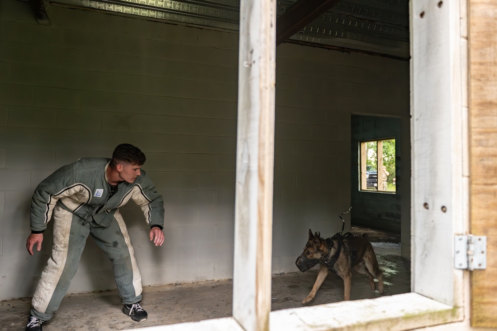 Airmen and military working dogs sharpen skills in high-intensity tactical drills