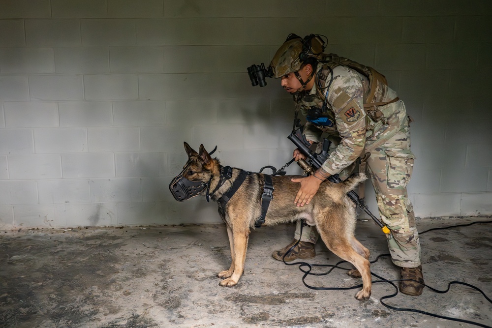 Airmen and military working dogs sharpen skills in high-intensity tactical drills