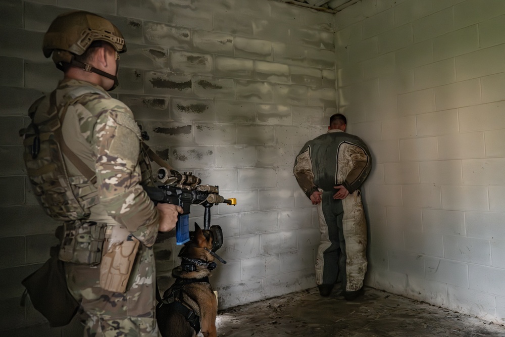 Airmen and military working dogs sharpen skills in high-intensity tactical drills