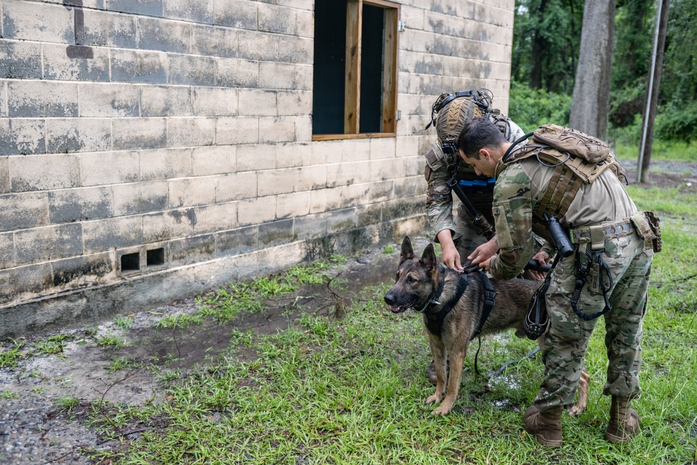 Airmen and military working dogs sharpen skills in high-intensity tactical drills