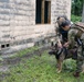 Airmen and military working dogs sharpen skills in high-intensity tactical drills