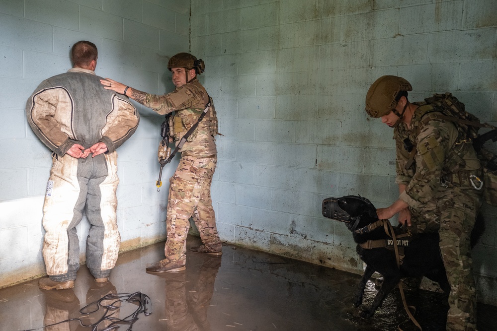 Airmen and military working dogs sharpen skills in high-intensity tactical drills