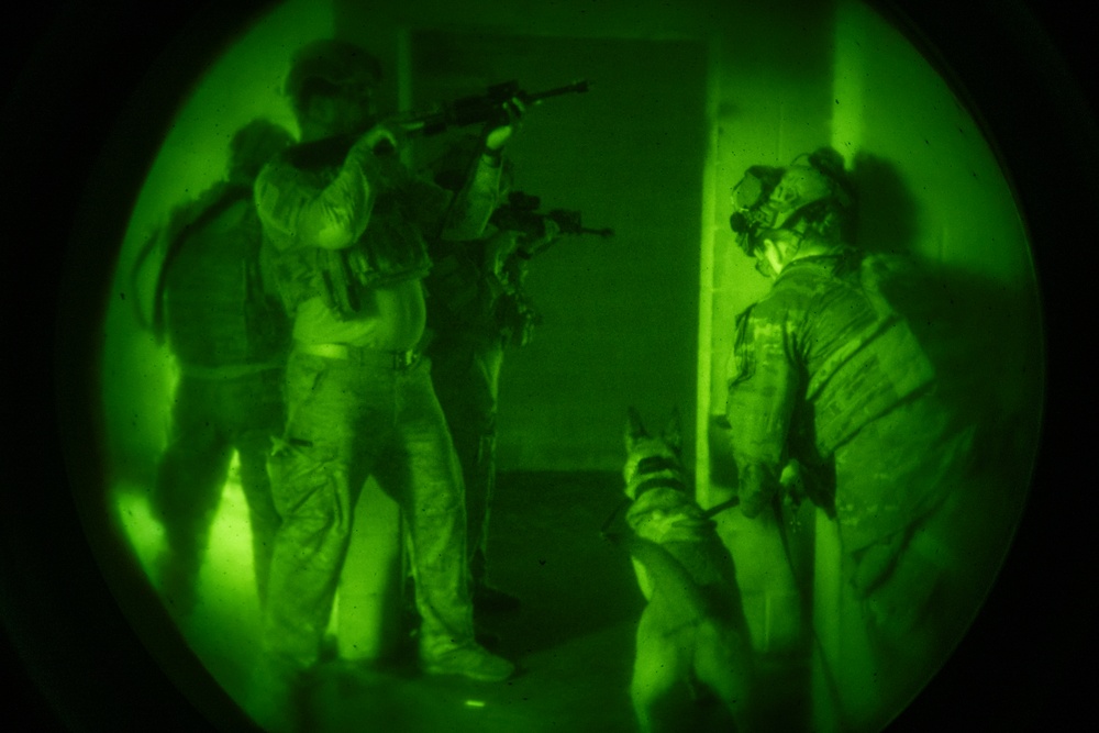 Airmen and military working dogs sharpen skills in high-intensity tactical drills
