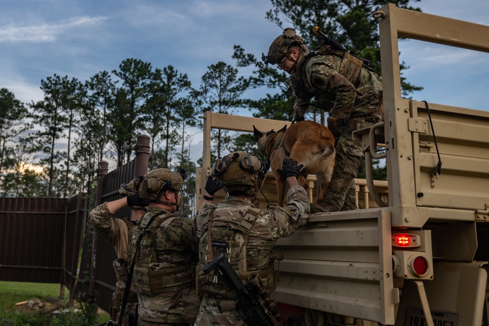Airmen and military working dogs sharpen skills in high-intensity tactical drills