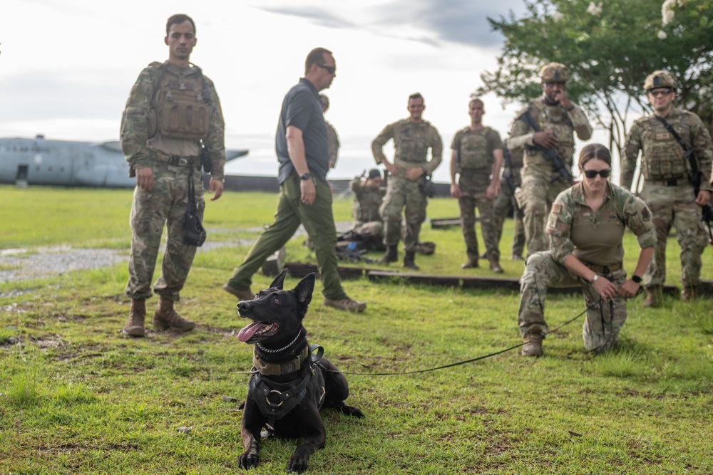 Airmen and military working dogs sharpen skills in high-intensity tactical drills