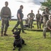 Airmen and military working dogs sharpen skills in high-intensity tactical drills