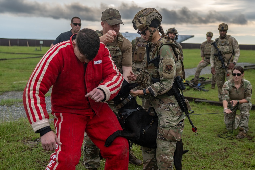 Airmen and military working dogs sharpen skills in high-intensity tactical drills