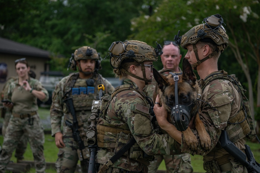 Airmen and military working dogs sharpen skills in high-intensity tactical drills