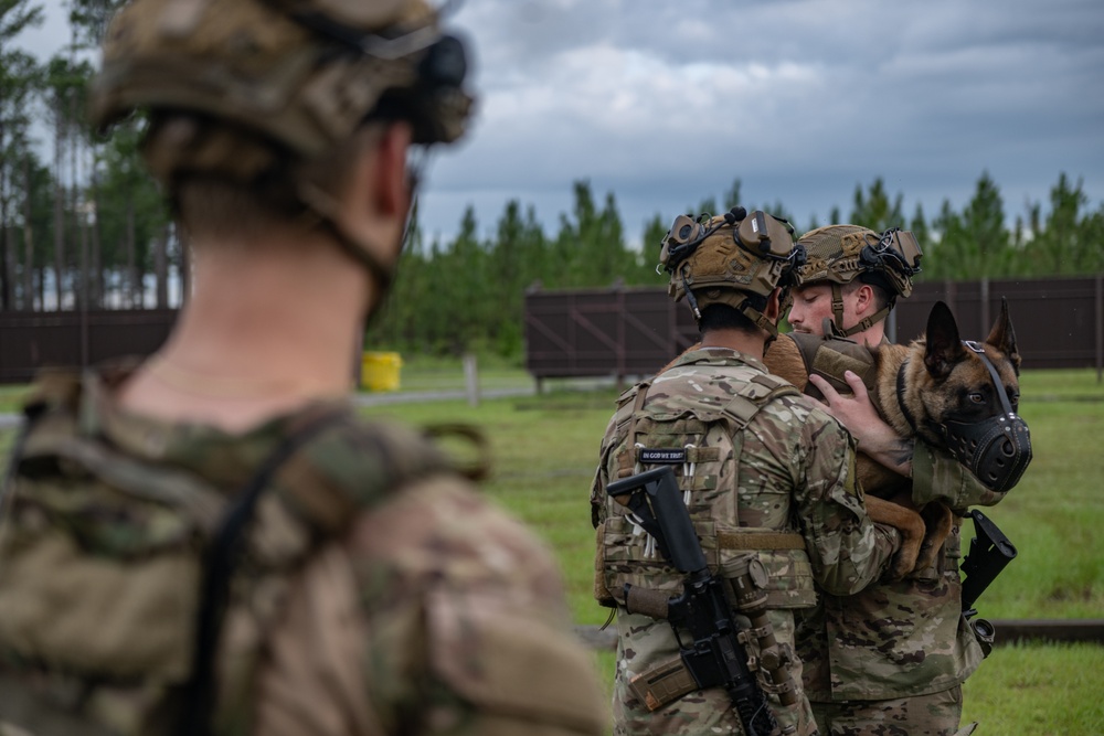 Airmen and military working dogs sharpen skills in high-intensity tactical drills