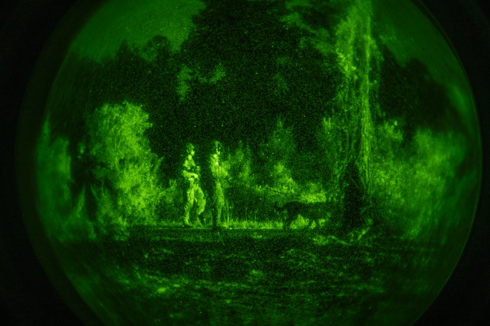 Airmen and military working dogs sharpen skills in high-intensity tactical drills