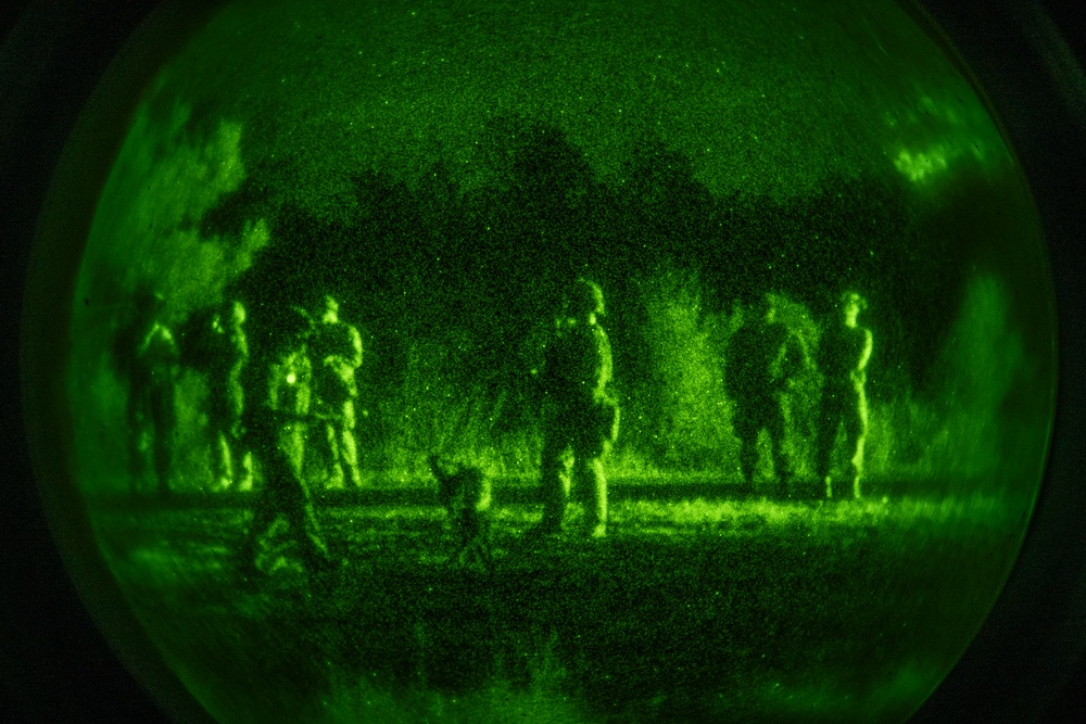 Airmen and military working dogs sharpen skills in high-intensity tactical drills