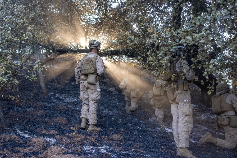 1st Bn., 1st Marines take on Range 600 during Bn. FEX