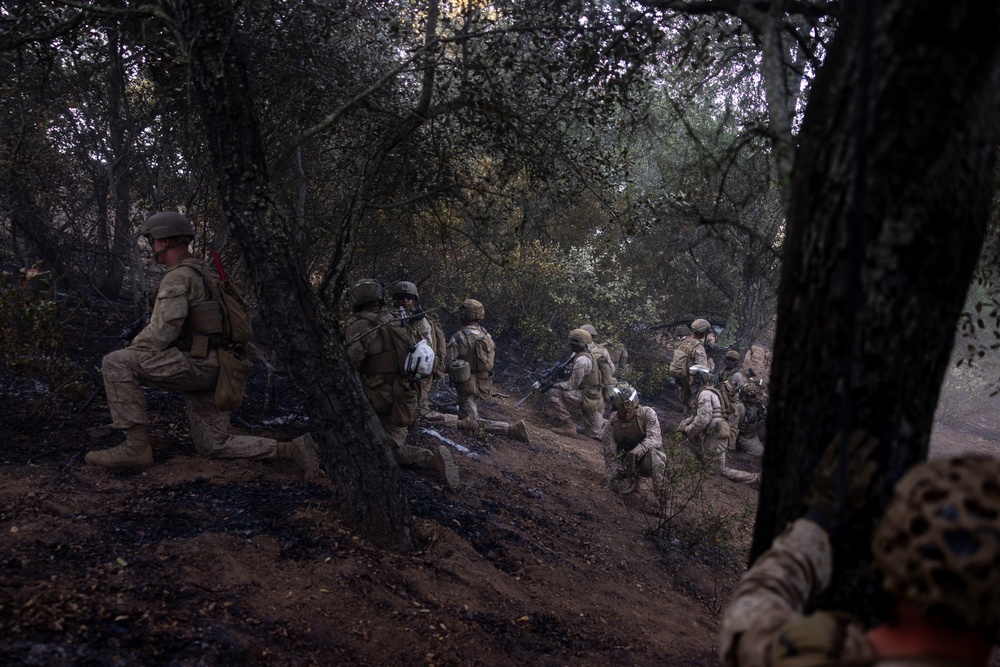 1st Bn., 1st Marines take on Range 600 during Bn. FEX