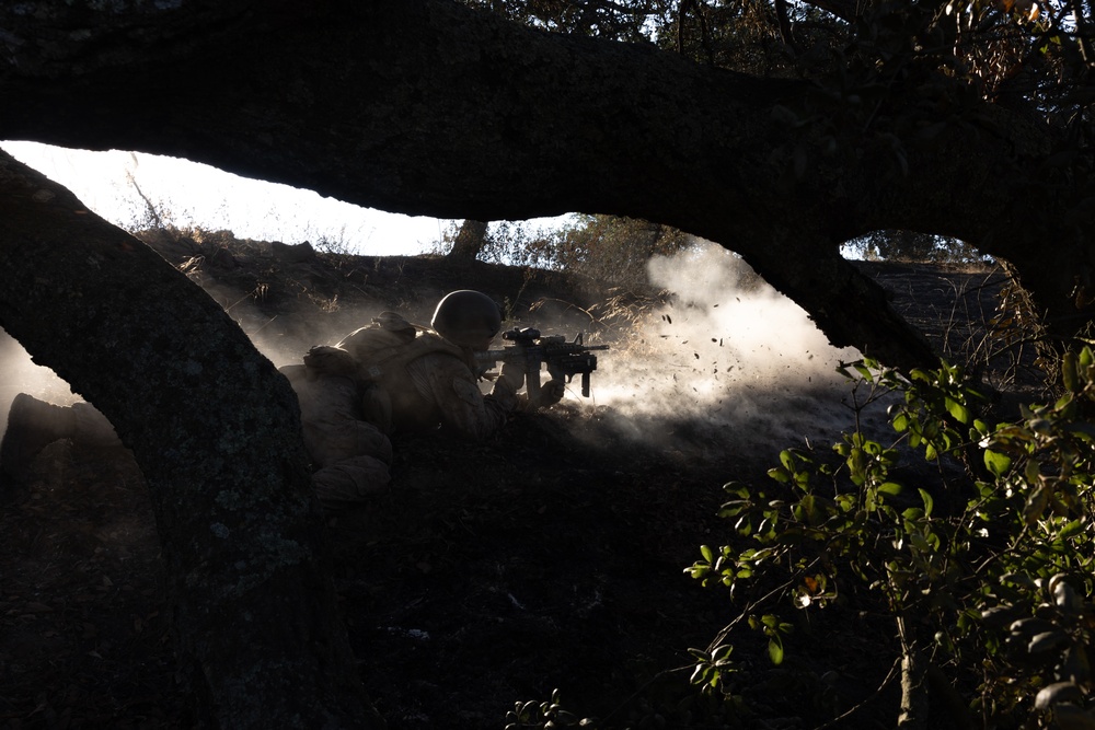 1st Bn., 1st Marines take on Range 600 during Bn. FEX