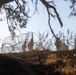 1st Bn., 1st Marines take on Range 600 during Bn. FEX