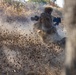 1st Bn., 1st Marines take on Range 600 during Bn. FEX