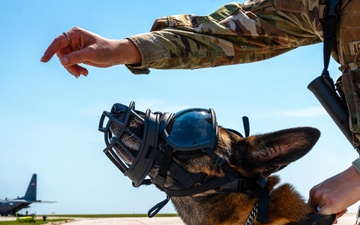 509 SFS conducts HVI transfer exercise at Whiteman AFB