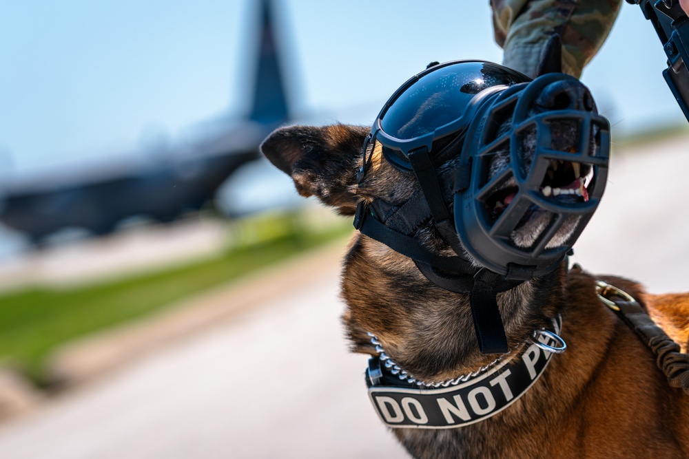 509 SFS conducts HVI transfer exercise at Whiteman AFB