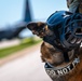 509 SFS conducts HVI transfer exercise at Whiteman AFB