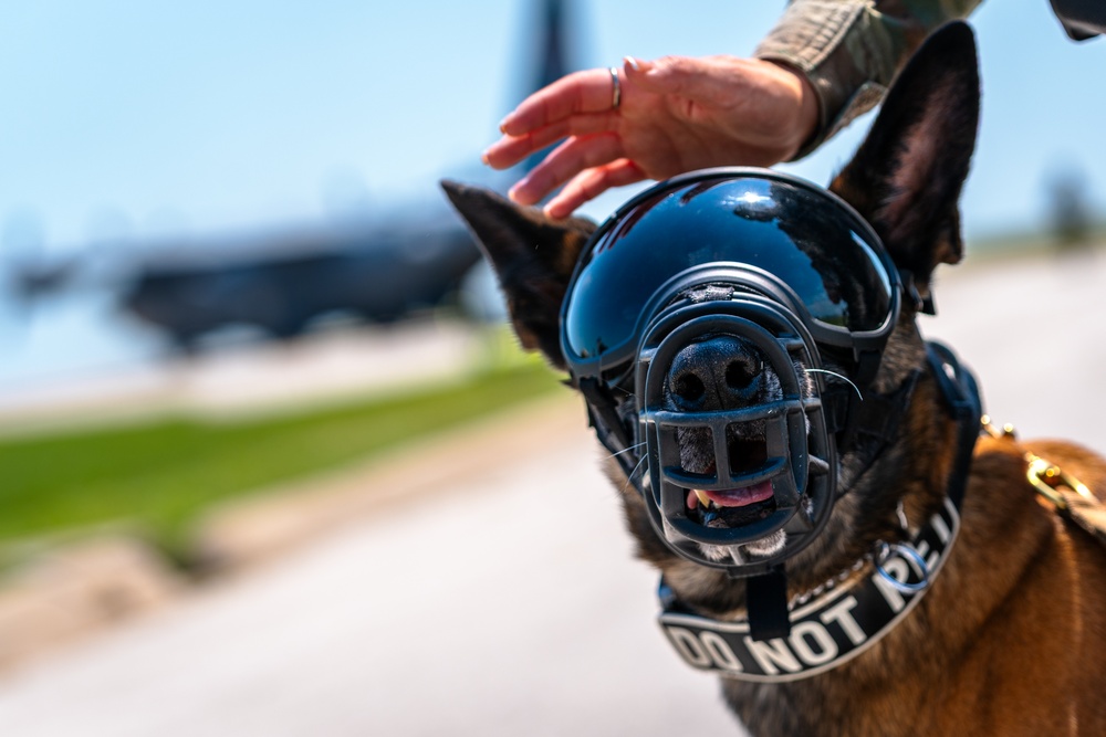 509 SFS conducts HVI transfer exercise at Whiteman AFB