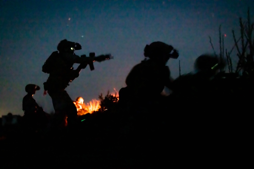75th Ranger Regiment conducts joint live-fire training