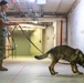 EOD Marines Conduct Secret Service Support Training