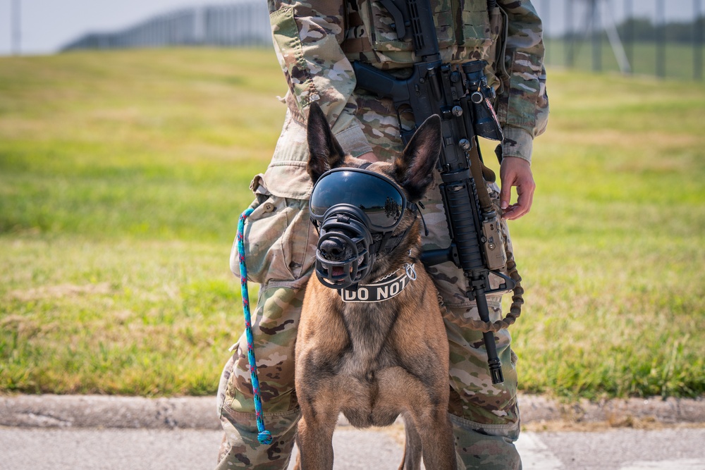 509 SFS conducts HVI transfer exercise at Whiteman AFB
