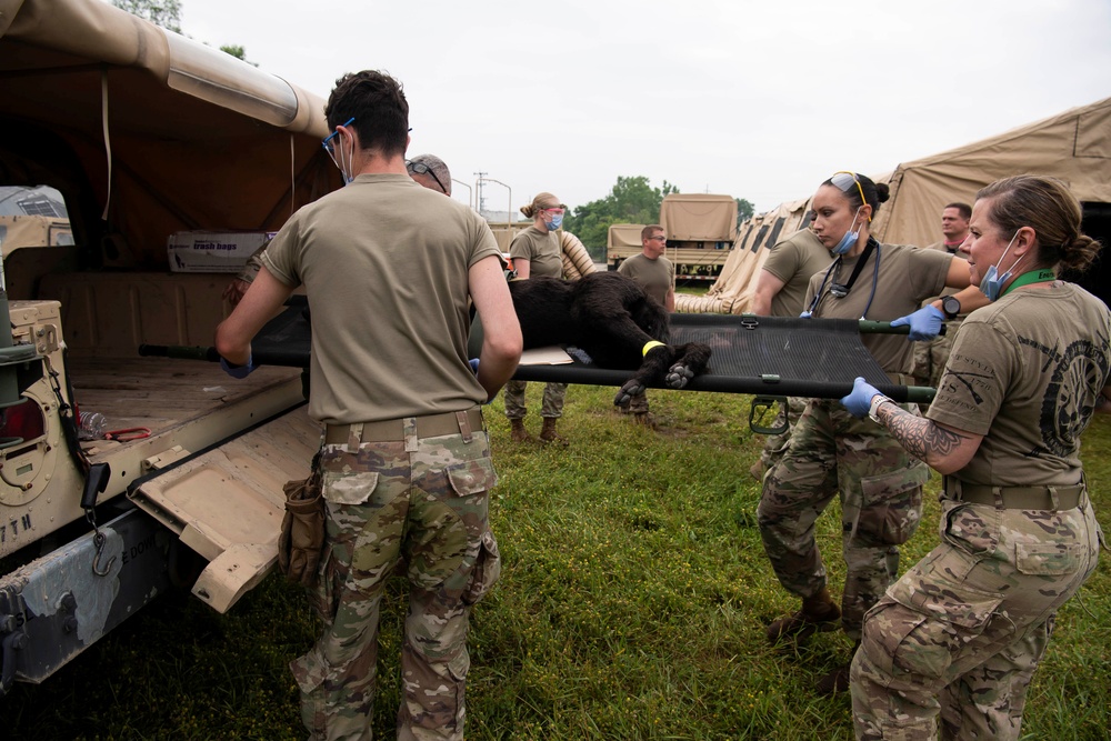 Relentless Valor: A Ground-Up Joint Force Medical Exercise that Redefined Collaboration and Capability