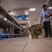 CLDJ Expeditionary Medical Facility Inspects Galley
