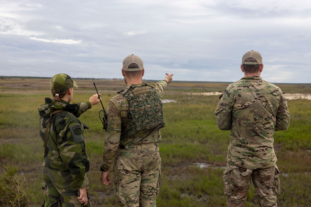 2nd ANGLICO &amp; NATO Allies Combined Arms Live Fire Day 1
