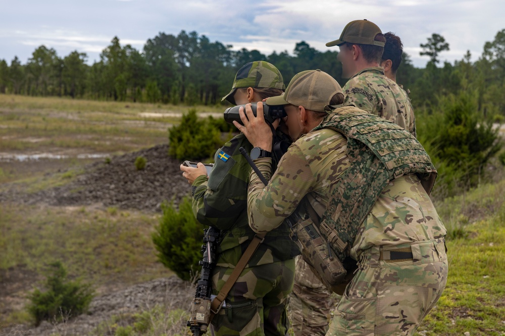 2nd ANGLICO &amp; NATO Allies Combined Arms Live Fire Day 1