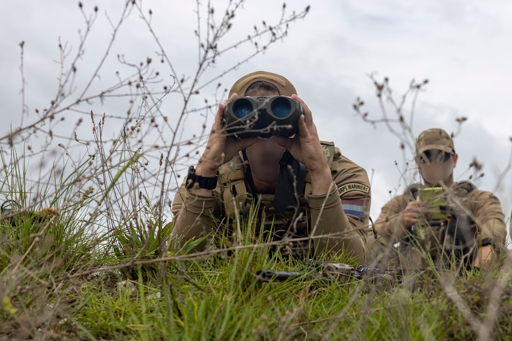 2nd ANGLICO &amp; NATO Allies Combined Arms Live Fire Day 1