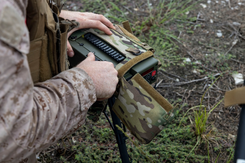 2nd ANGLICO &amp; NATO Allies Combined Arms Live Fire Day 1