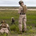 2nd ANGLICO &amp; NATO Allies Combined Arms Live Fire Day 1