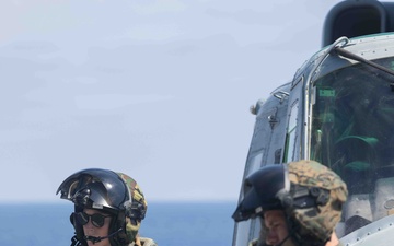Marine Helicopters Take Off