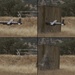 Long-Standing Navy Program Accelerates Drone, AI, and Technology Development Under Field Conditions